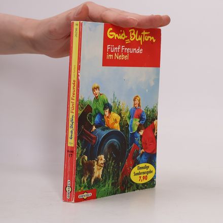 Fünf Freunde im Nebel