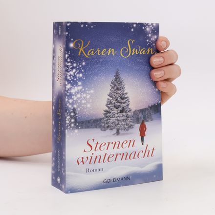 Sternenwinternacht