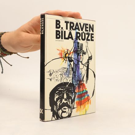 Bílá růže