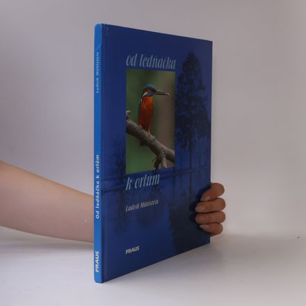 Od ledňáčka k orlům