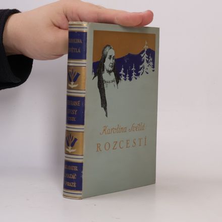 Rozcestí. Novelly I