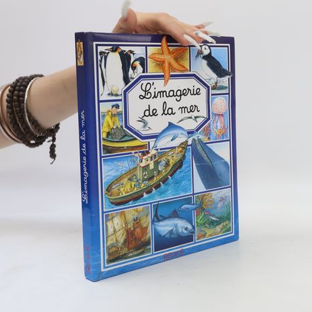 L'imagerie de la mer