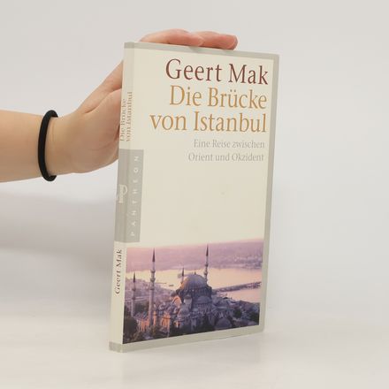Die Brücke von Istanbul
