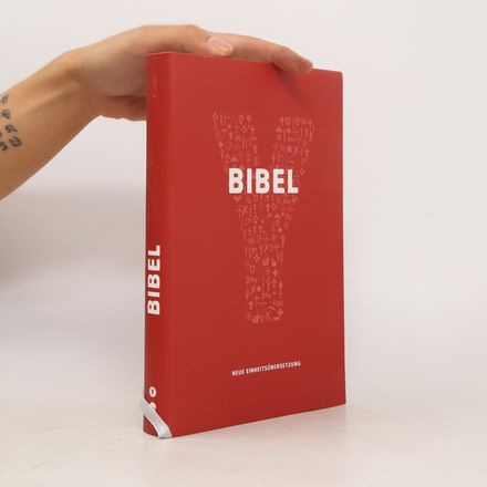 Y-Bibel - Youcat