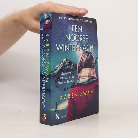 Een Noorse winternacht