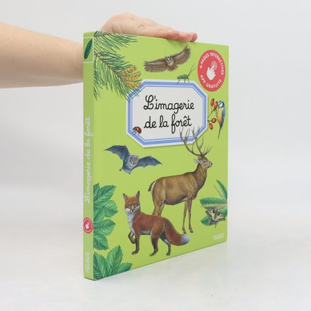 L'imagerie de la forêt