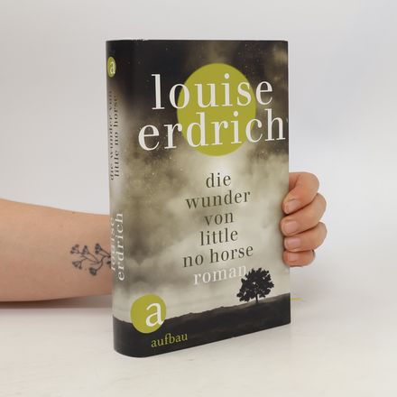 Die Wunder von Little No Horse
