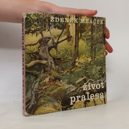 Život pralesa