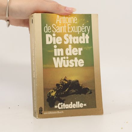 Die Stadt in der Wüste. Citadelle