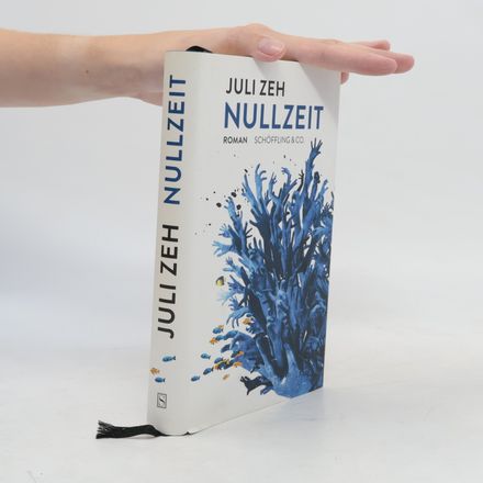 Nullzeit