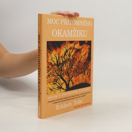Moc přítomného okamžiku