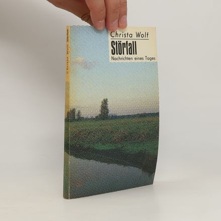 Störfall