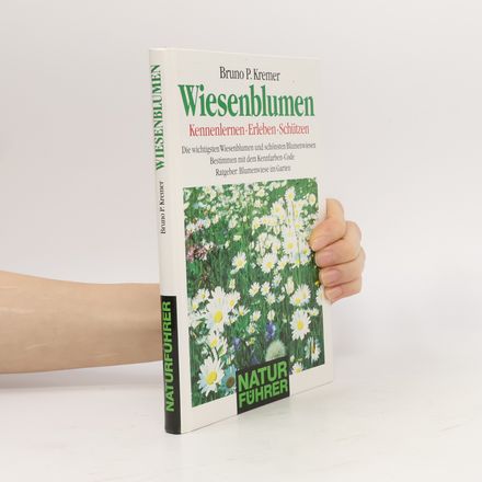 Wiesenblumen