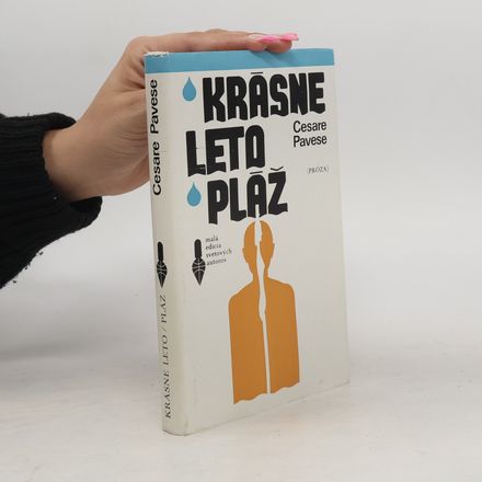 Krásne leto. Pláž