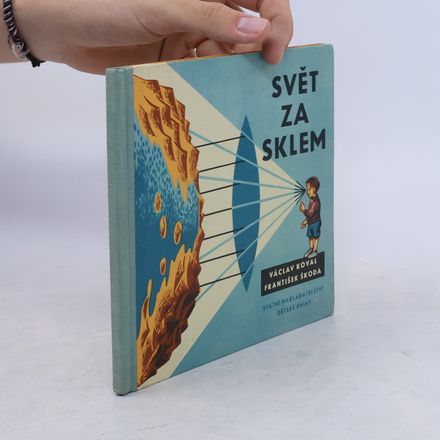 Svět za sklem