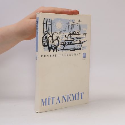 Mít a nemít