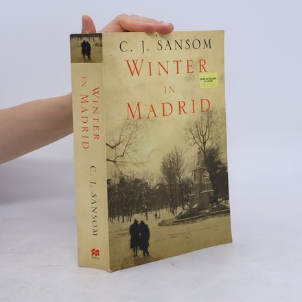 Winter in Madrid