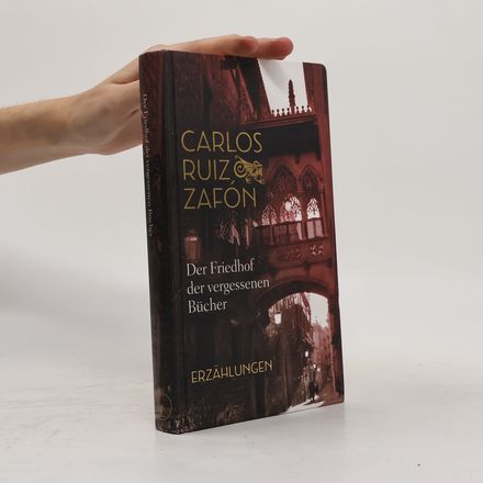 Der Friedhof der vergessenen Bücher