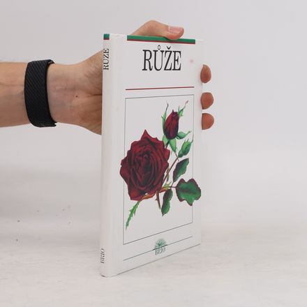 Růže
