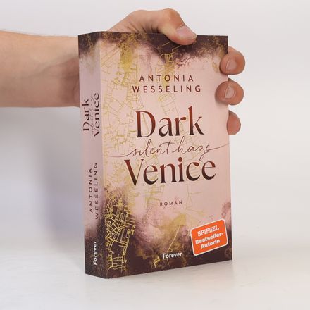 Dark Venice. Silent Haze