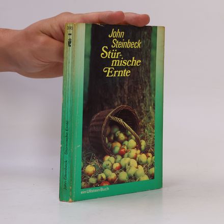 Stürmische Ernte