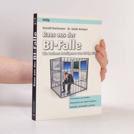 Raus aus der BI-Falle