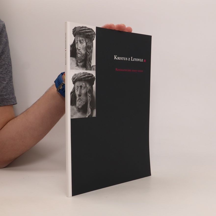 Antonín Basler Kristus z Litovle: restaurování 2007-2010