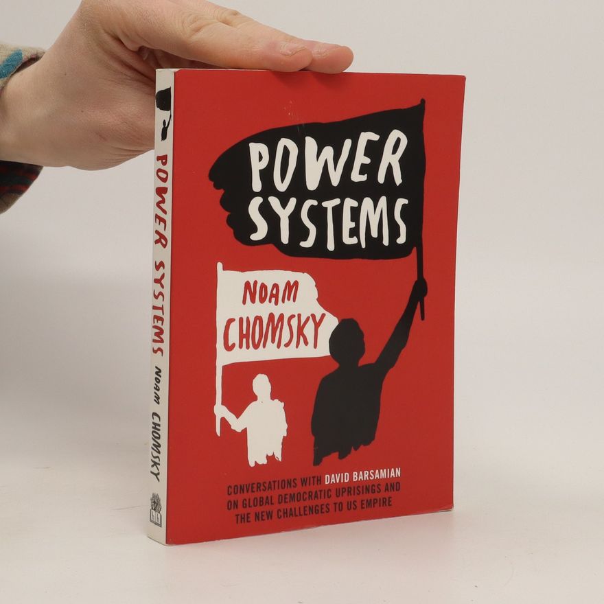 Noam Chomsky Power systems