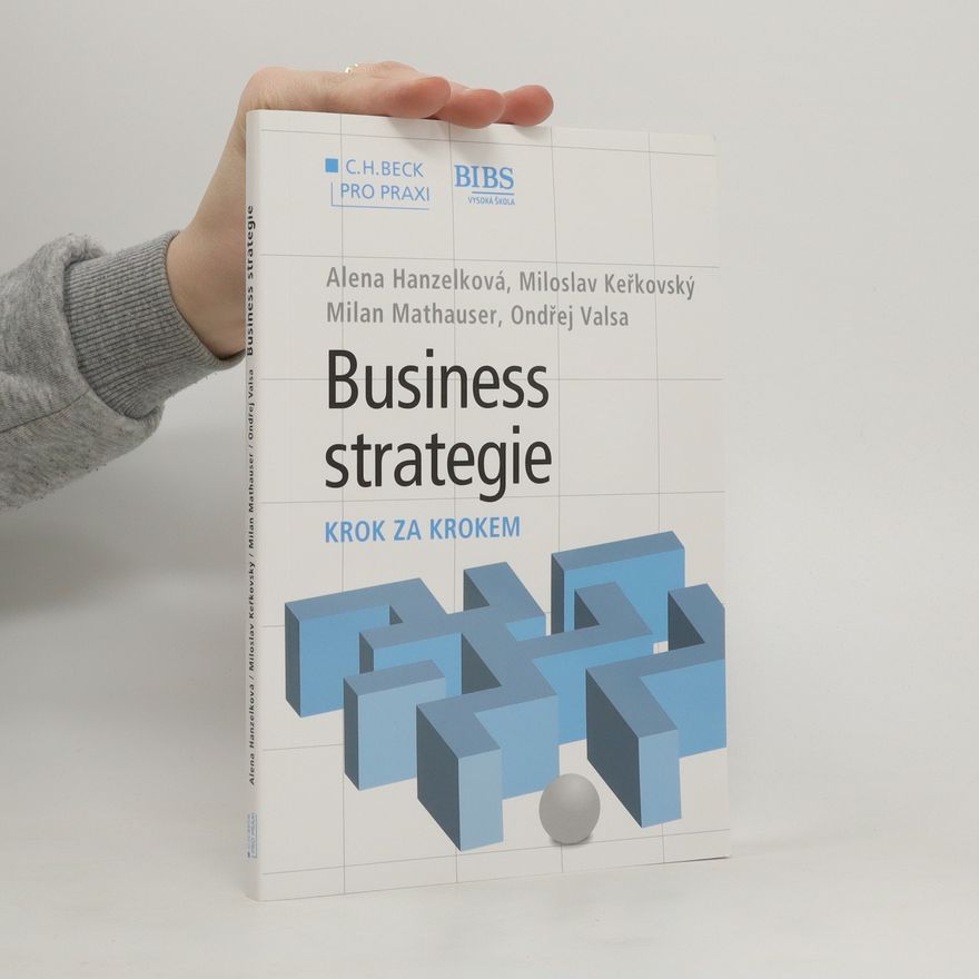 Ondřej Valsa Business strategie