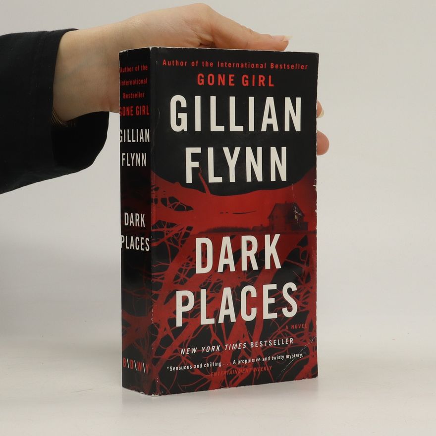 Gillian Flynn Dark places