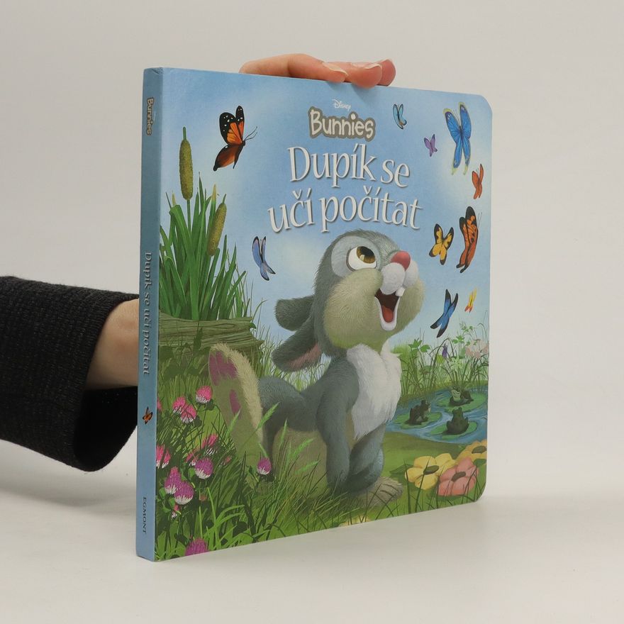 Kitty Richards Disney Bunnies - Dupík se učí počítat