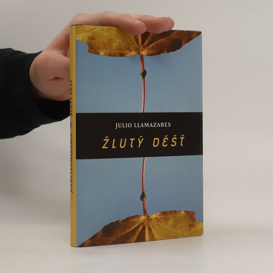 Julio Llamazares Žlutý déšť