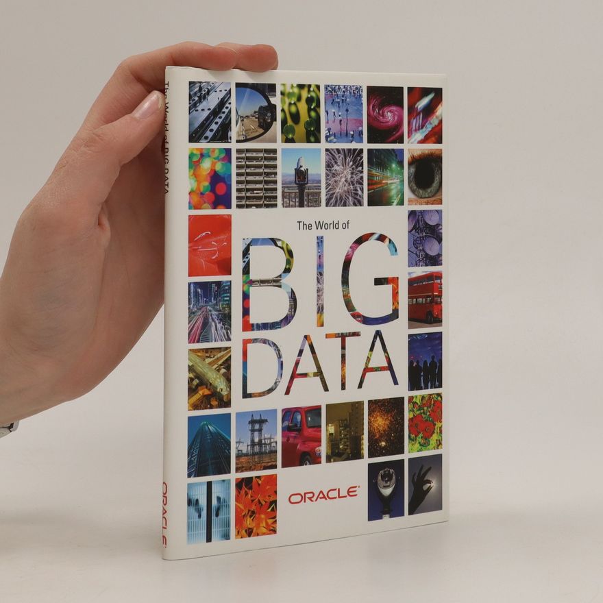 Kolektiv autorů The world of big data
