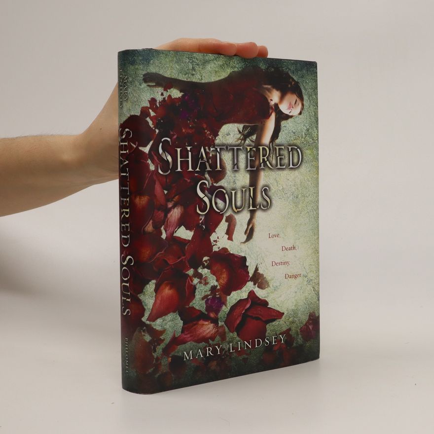 Mary Lindsey Shattered Souls