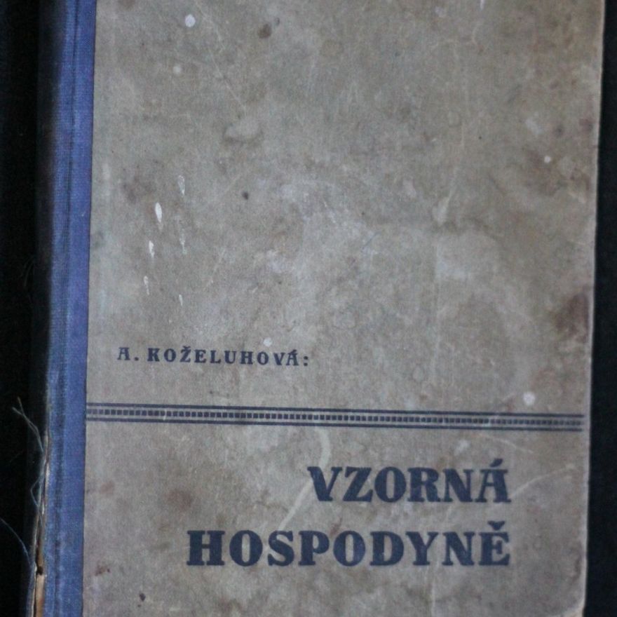 Anna Koželuhová Vzorná hospodyně