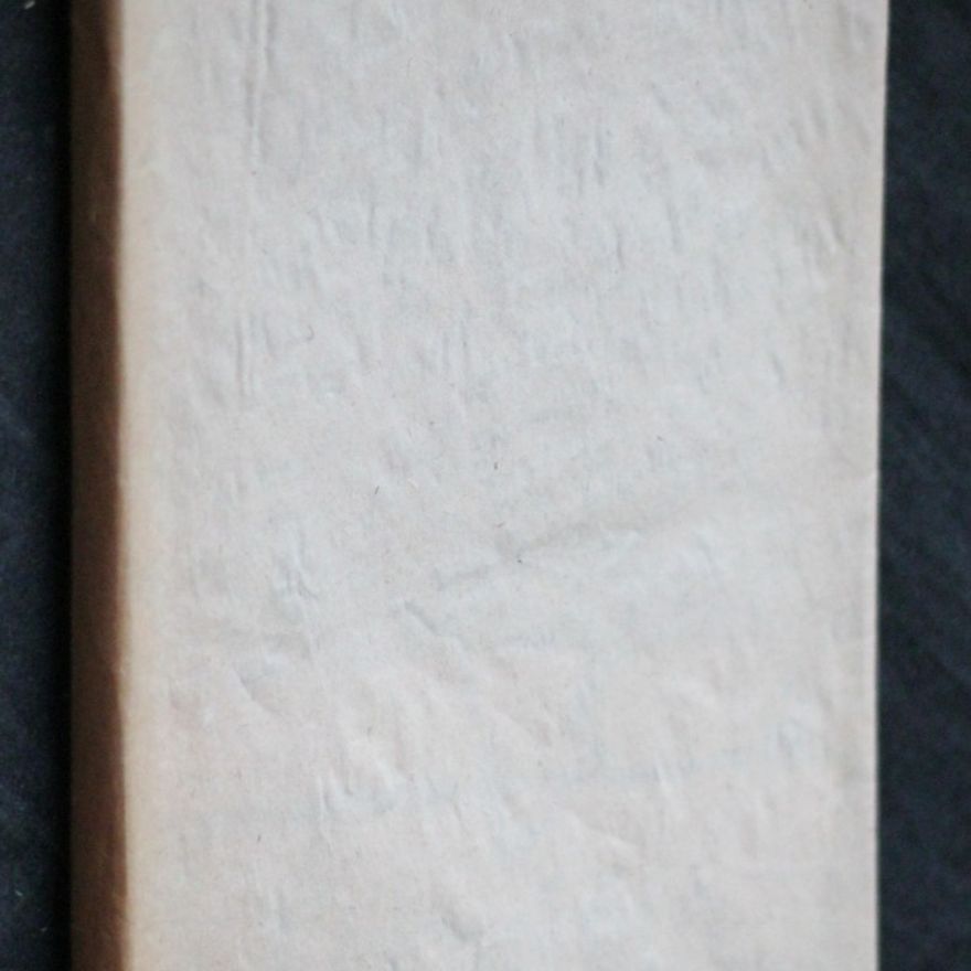 Robert Louis Stevenson Černý šíp : Příběh z válek dvou růží