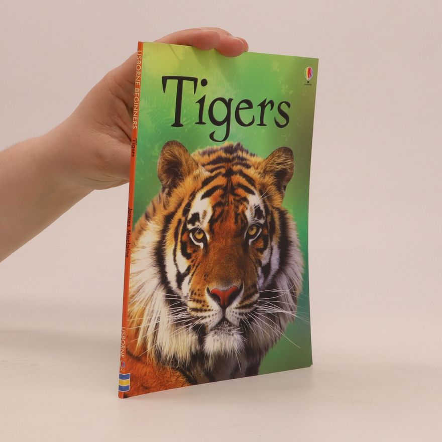 James Maclaine Tigers