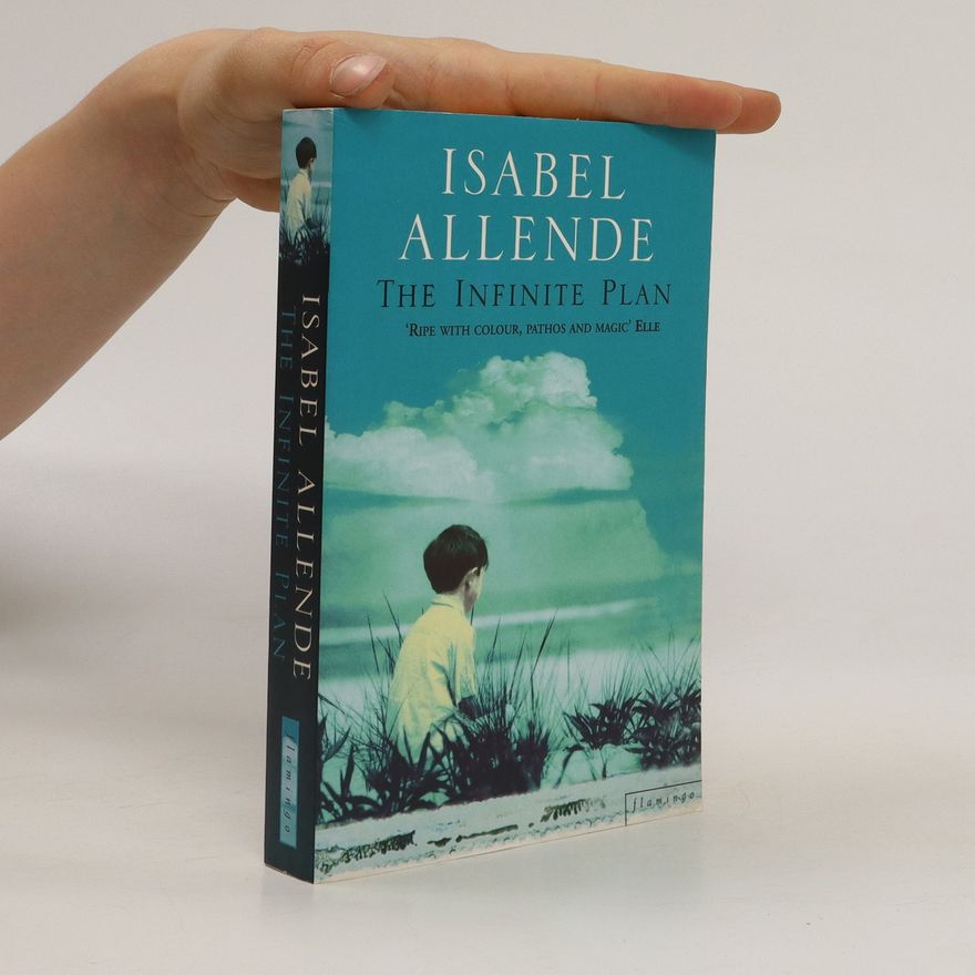 Isabel Allende The infinite plan