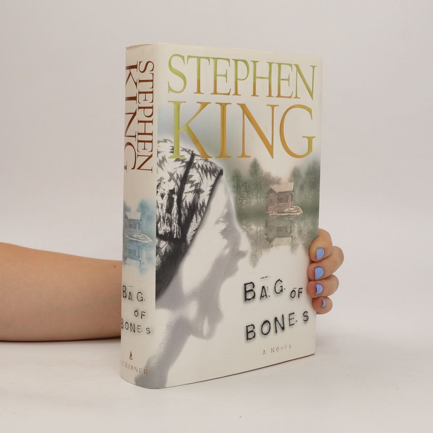 Stephen King Bag of bones