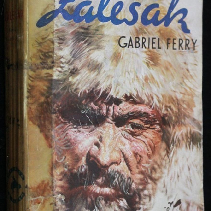 Louis de Bellemare Zálesák : za zlatem do země Apachů