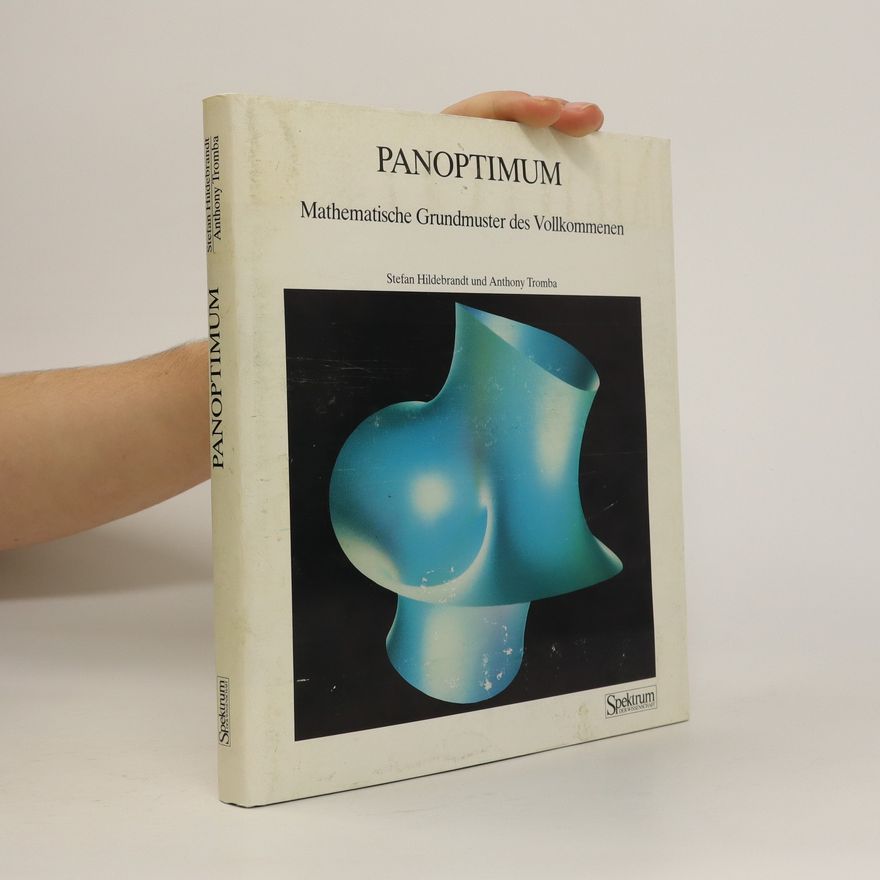 Stefan Hildebrandt Panoptimum