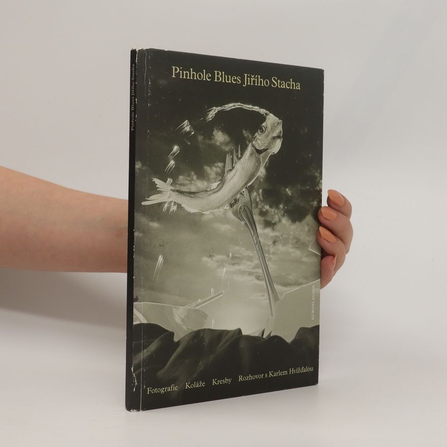 Kolektív autorov Pinhole Blues Jiřího Stacha