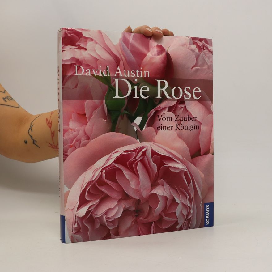 David Austin Die Rose