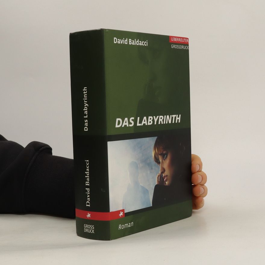 David Baldacci Das Labyrinth