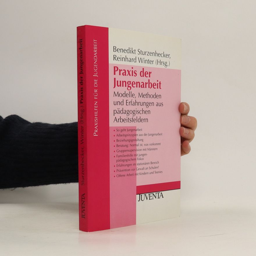 Benedikt Sturzenhecker Praxis der Jungenarbeit