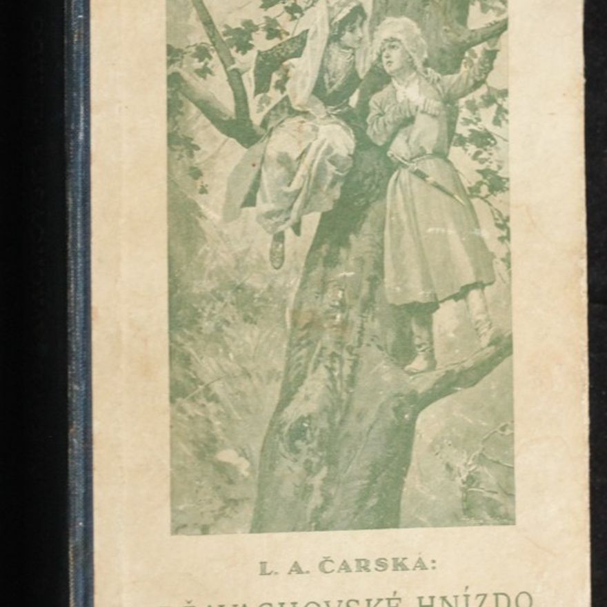Lidia Charskaya Džavachovské hnízdo