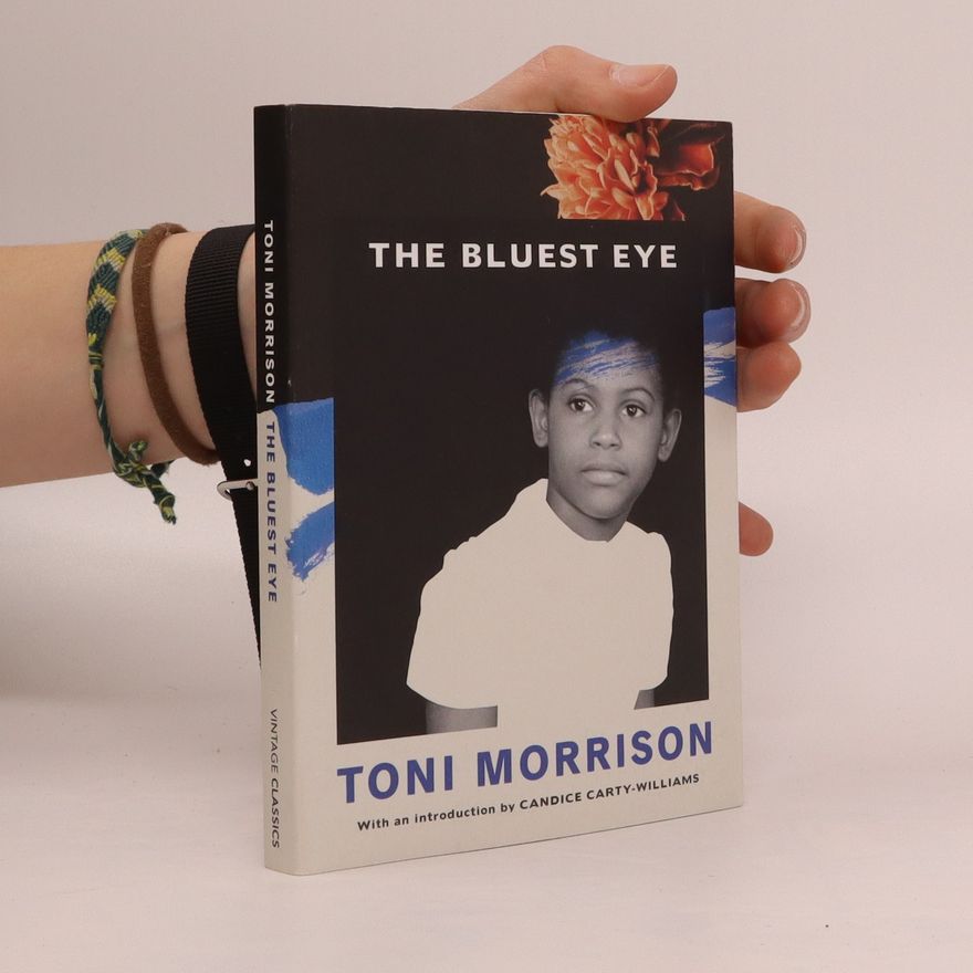 Toni Morrison The Bluest Eye