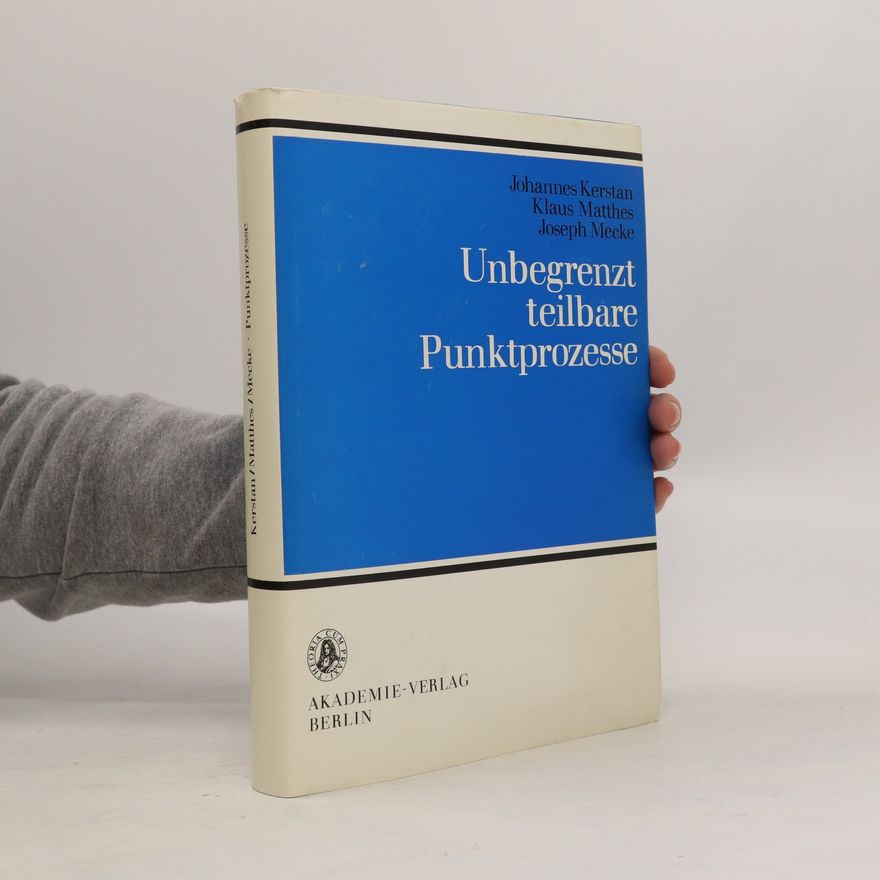 Kolektiv autorů Unbegrenzt teilbare Punktprozesse