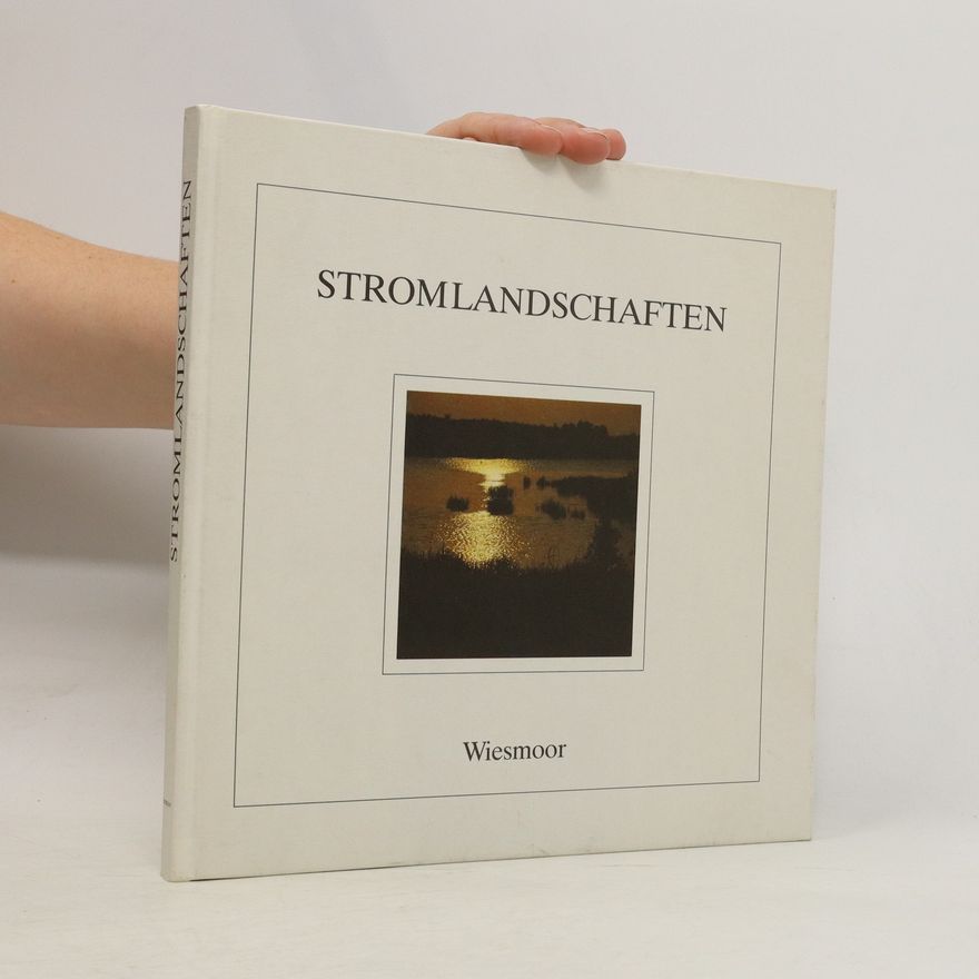 Horst Wöbbeking Stromlandschaften