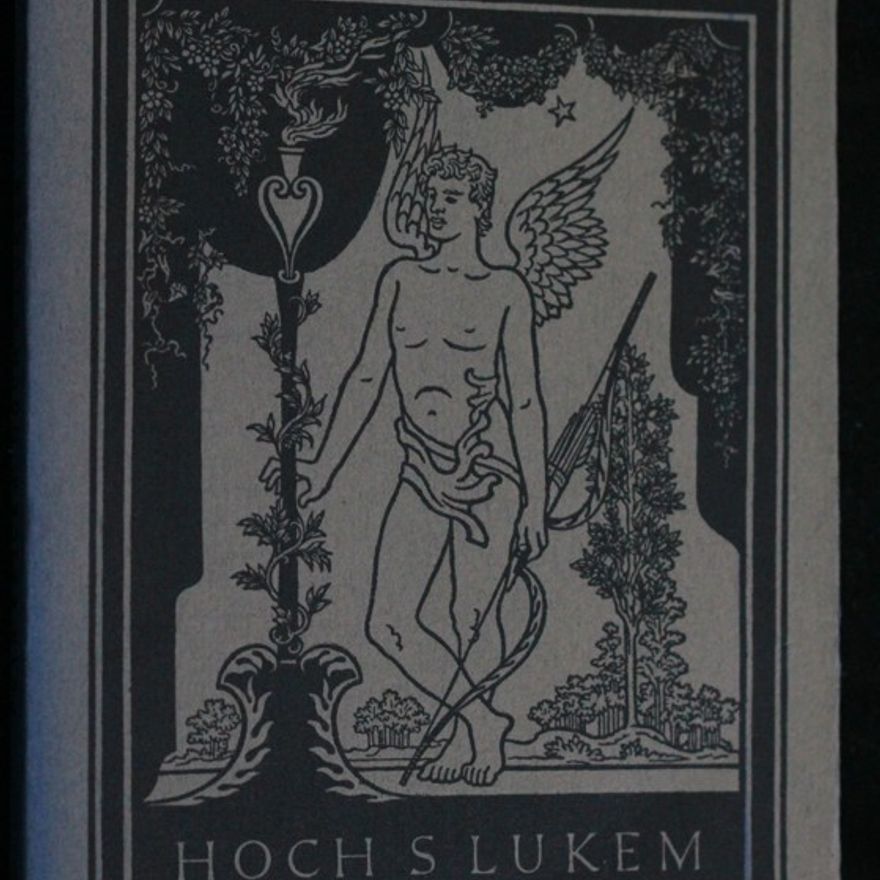Petr Křička Hoch s lukem : Básně